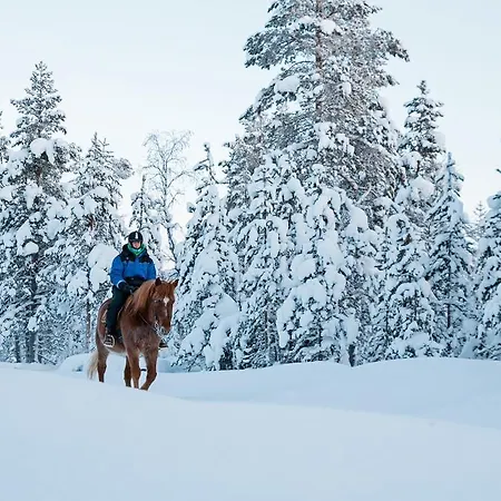Kakslauttanen Arctic - Igloos And 5* Saariselka