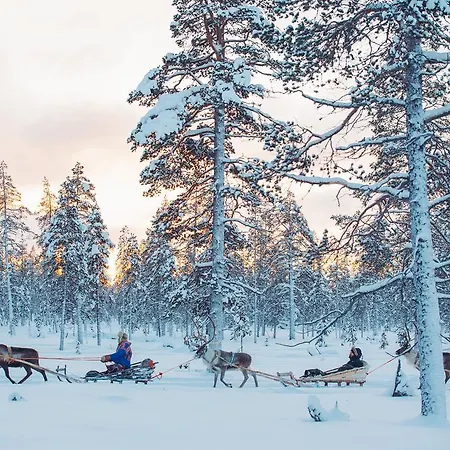 卡克斯劳塔宁阿克蒂克度假酒店 - 圆顶小屋和小木屋 5* 萨利色尔卡