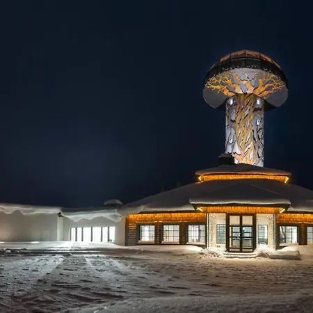 卡克斯劳塔宁阿克蒂克度假酒店 - 圆顶小屋和小木屋 酒店