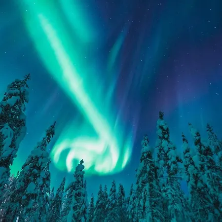 Kakslauttanen Arctic - Igloos And מלון