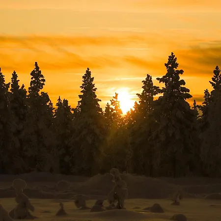 מלון Kakslauttanen Arctic - Igloos And סאריסלקה
