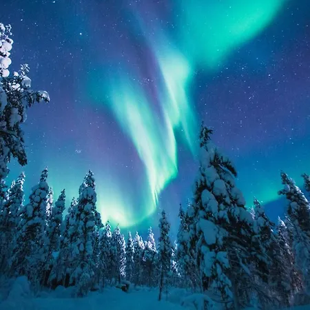 Hotel Kakslauttanen Arctic - Igloos And