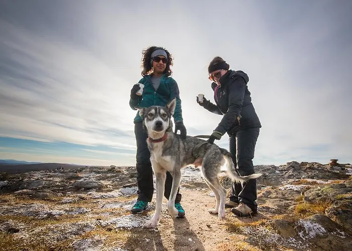 ホテル カクシラウッタネン 北極リゾート イグルー&シャレー サーリセルカ