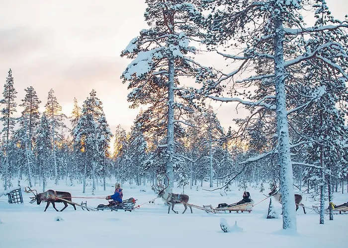 Kakslauttanen Arctic - Igloos And 5* Saariselkä