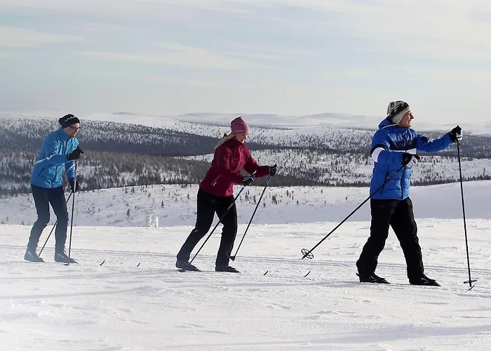 Kakslauttanen Arctic - Igloos And Hotel