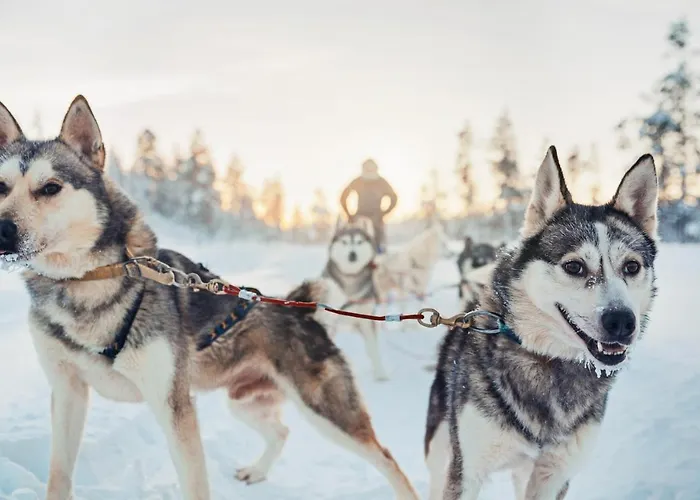 Hotel Kakslauttanen Arctic - Igloos And 5*