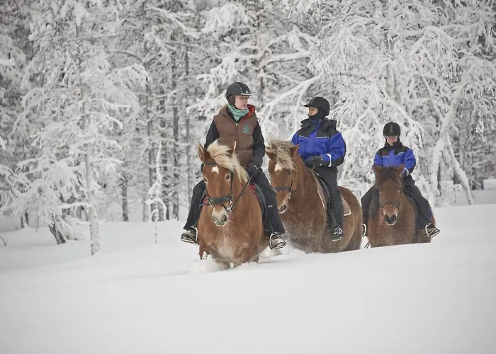 Hotel Kakslauttanen Arctic - Igloos And Saariselkä