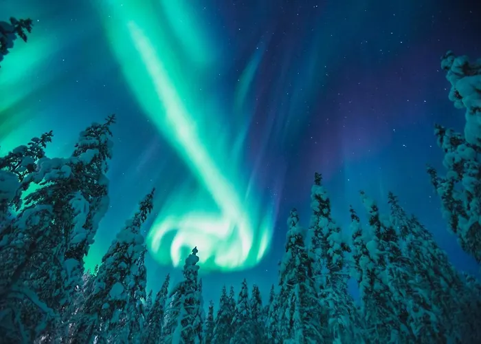 Kakslauttanen Arctic - Igloos And Hotel