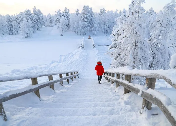 Kakslauttanen Arctic - Igloos And Hotel Saariselkä