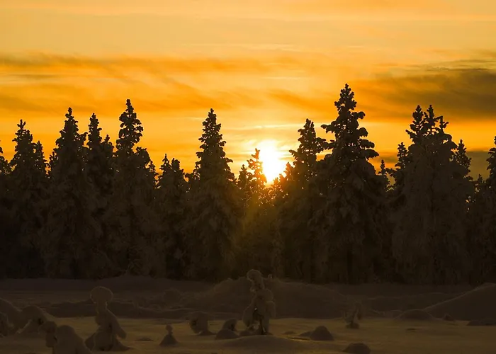 Hotel Kakslauttanen Arctic - Igloos And Saariselkä