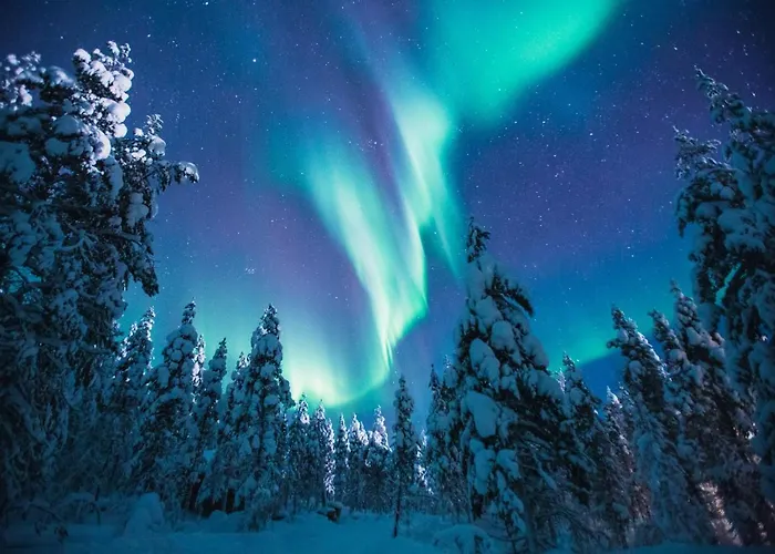 Hotel Kakslauttanen Arctic - Igloos And